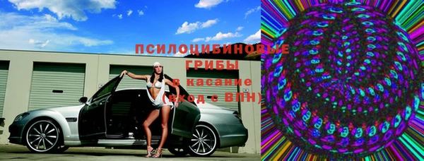 мдпв Горняк